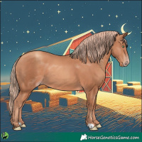 Horse Color:Gold Champagne