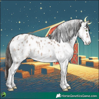 Horse Color:Sable Champagne Sabino Leopard 