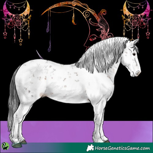 Horse Color:Brown Sabino 