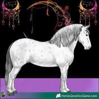 Horse Color:Brown Sabino 