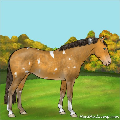 Horse Color:White Spotted Sable Cream Champagne Tobiano 
