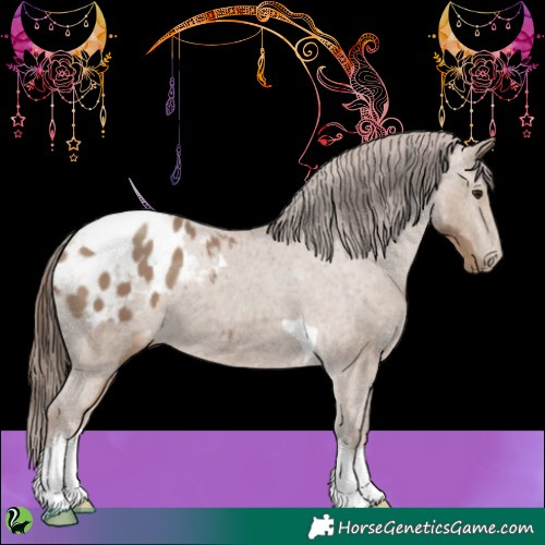 Horse Color:White Spotted Classic Champagne Tobiano Blanket