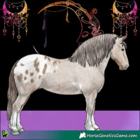 Horse Color:White Spotted Classic Champagne Tobiano Appaloosa 