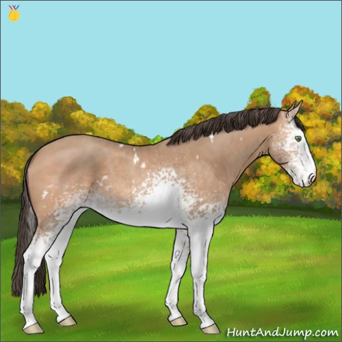 Horse Color:White Spotted Sable Champagne 