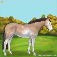 Horse Color:White Spotted Sable Champagne 