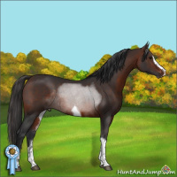 Horse Color:Brown Sabino Splash Tobiano Rabicano
