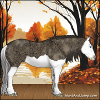Horse Color:Smoky Grullo Ice Splash 