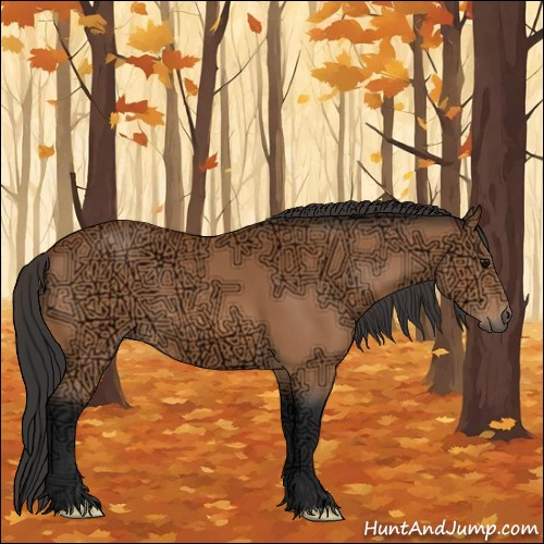Horse Color:Bay Ice 