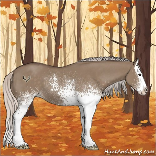Horse Color:White Spotted Silver Grullo Splash 