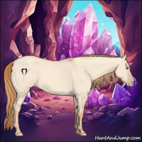 Horse Color:Gold Champagne Dun 