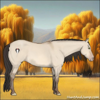 Horse Color:Amber Champagne Dun 
