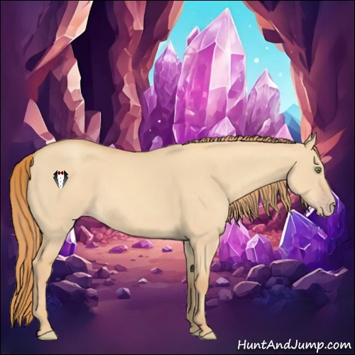 Horse Color:Gold Champagne Dun 