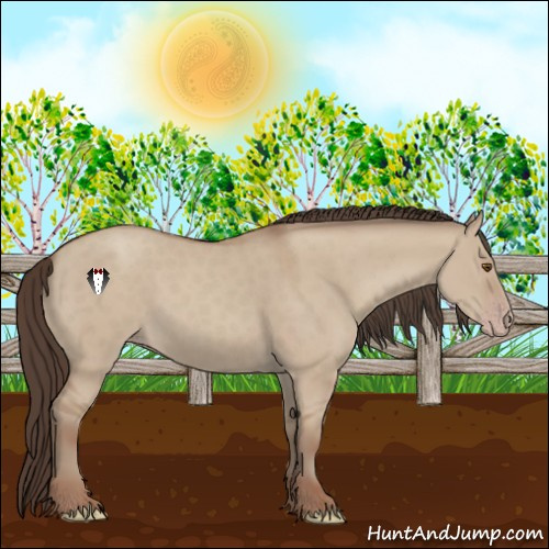 Horse Color:Classic Champagne Dun 