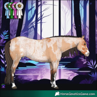 Horse Color:White Spotted Bay Dun  and Bay Roan Rabicano 