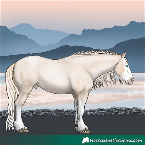 Horse Color:Palomino Roan Pearl Splash 