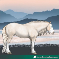 Horse Color:Palomino Roan Pearl Splash 