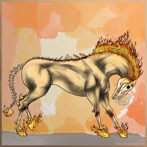 Horse Color:Palomino 