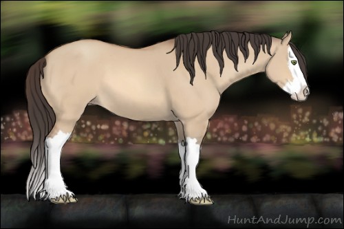 Horse Color:Amber Champagne Dun Sabino Splash 