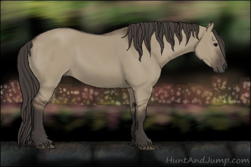 Horse Color:Smoky Grullo