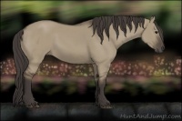 Horse Color:Smoky Grullo 