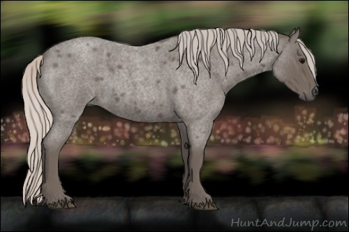 Horse Color:Silver Blue Roan