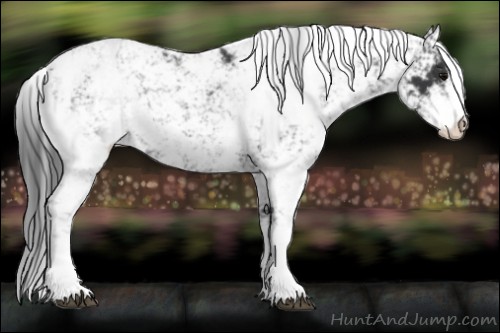 Horse Color:Black Sabino