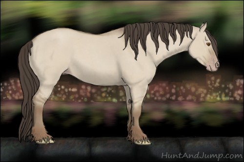 Horse Color:Classic Champagne Roan Dun 