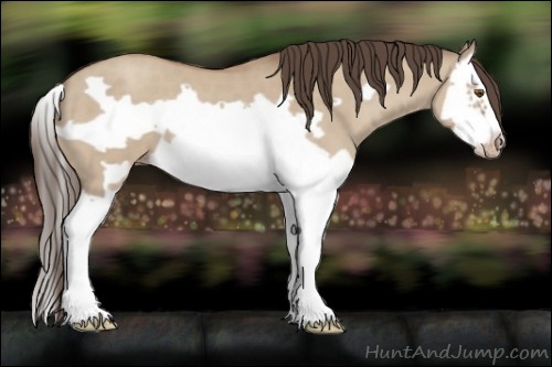 Horse Color:Classic Champagne Dun Splash Frame 