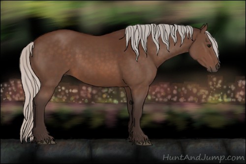 Horse Color:Silver Brown 