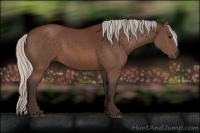 Horse Color:Silver Brown 