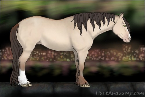 Horse Color:Amber Champagne Dun Sabino 