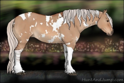 Horse Color:White Spotted Silver Bay Dun Tobiano 
