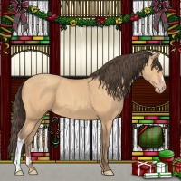 Horse Color:Amber Champagne