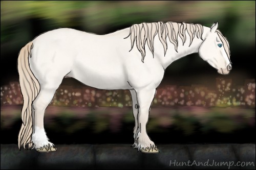 Horse Color:Perlino Dun Sabino