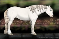 Horse Color:Perlino Dun Sabino 