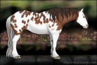 Horse Color:Buckskin Roan Splash Blanket 