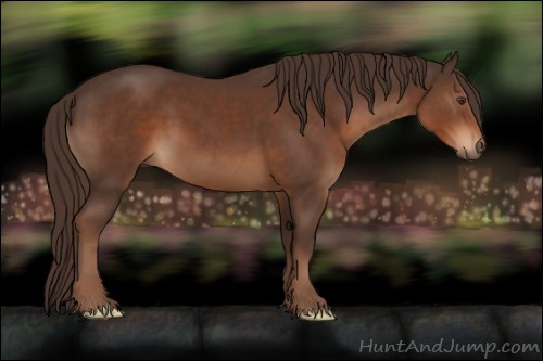 Horse Color:Liver Chestnut