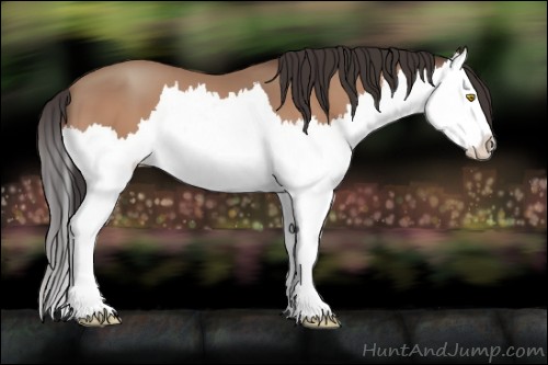 Horse Color:Amber Champagne Splash