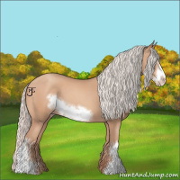 Horse Color:Silver Amber Champagne Frame 