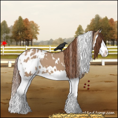 Horse Color:White Spotted Red Dun Splash Appaloosa 