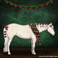Horse Color:Cremello Tobiano 