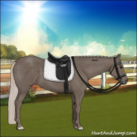 Horse Color:Silver Black 