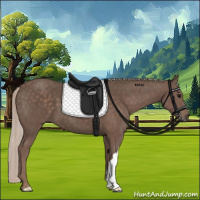 Horse Color:Silver Black 
