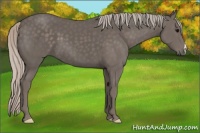 Horse Color:Silver Black 