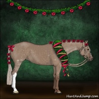 Horse Color:Silver Grullo