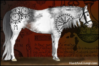Horse Color:White Spotted Brown Splash 