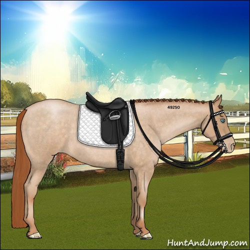Horse Color:Buckskin Roan Pearl 