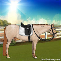 Horse Color:Buckskin Roan Pearl 