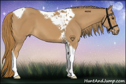 Horse Color:Chestnut Tobiano 