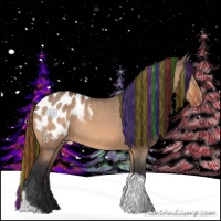 Horse Color:Painted Bay Dun Tobiano Appaloosa 